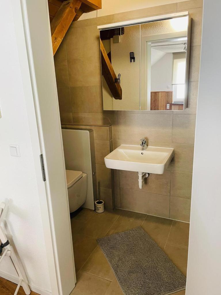 Dachstudio Eggingen Buitenkant foto